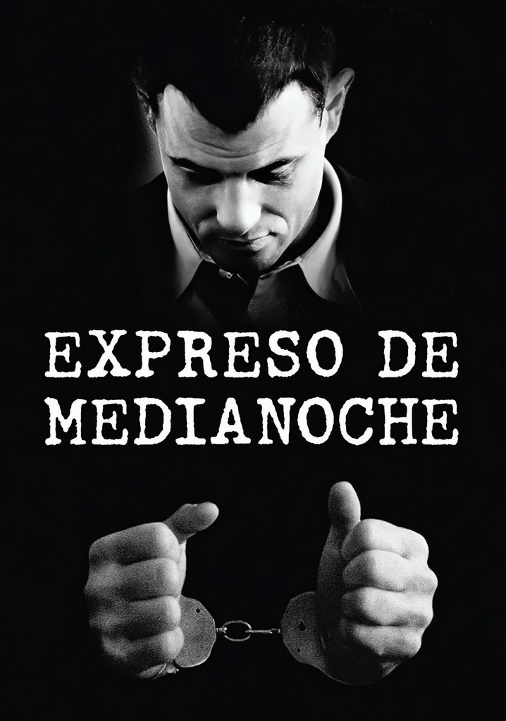 El Expreso De Medianoche Película Ver Online